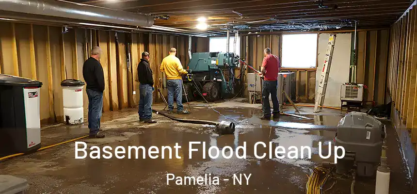  Basement Flood Clean Up Pamelia - NY