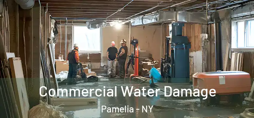  Commercial Water Damage Pamelia - NY