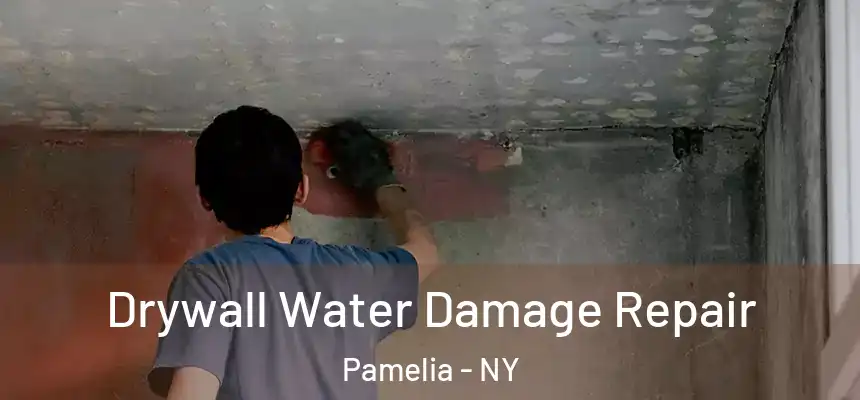 Drywall Water Damage Repair Pamelia - NY