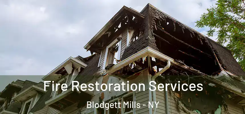  Fire Restoration Services Blodgett Mills - NY