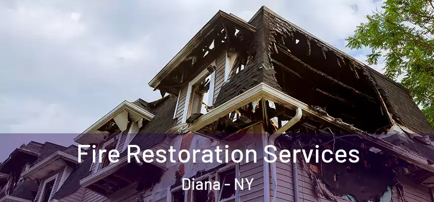  Fire Restoration Services Diana - NY
