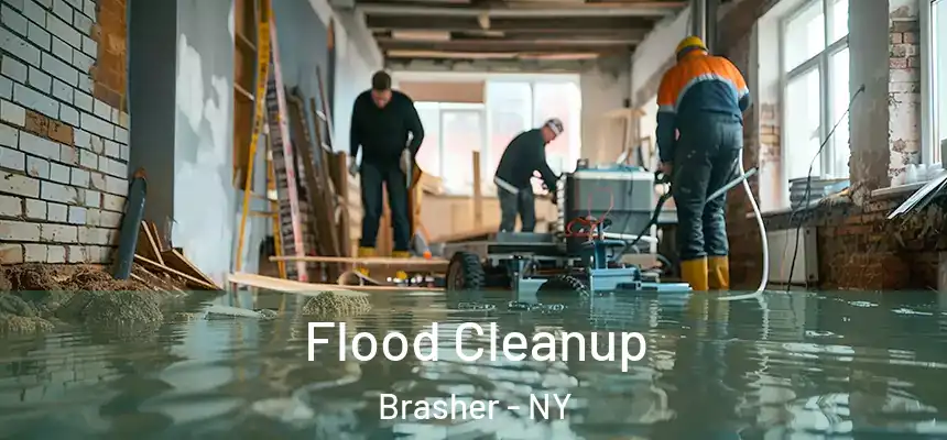 Flood Cleanup Brasher - NY