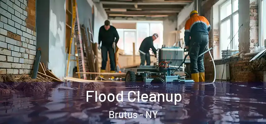  Flood Cleanup Brutus - NY