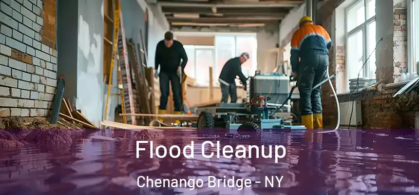 Flood Cleanup Chenango Bridge - NY
