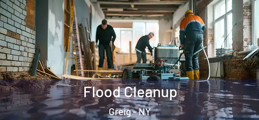 Flood Cleanup Greig - NY