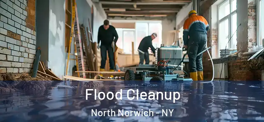  Flood Cleanup North Norwich - NY