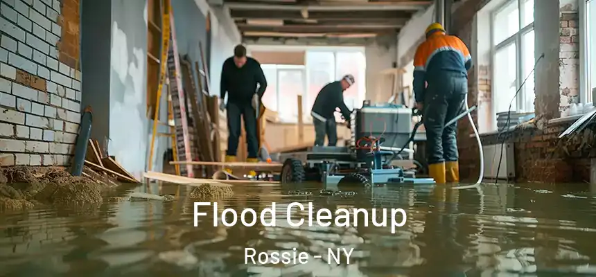 Flood Cleanup Rossie - NY