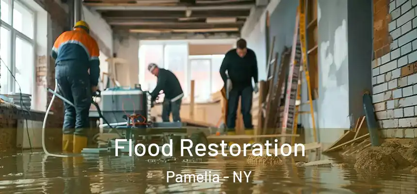  Flood Restoration Pamelia - NY
