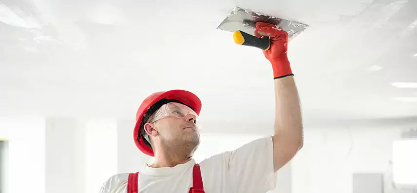 Basement Water Damage Repair in Pamelia