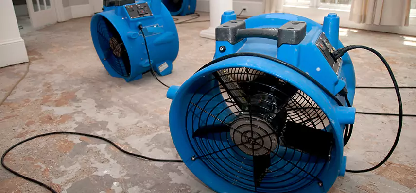 Water Leak Mitigation in Pamelia