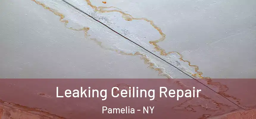  Leaking Ceiling Repair Pamelia - NY
