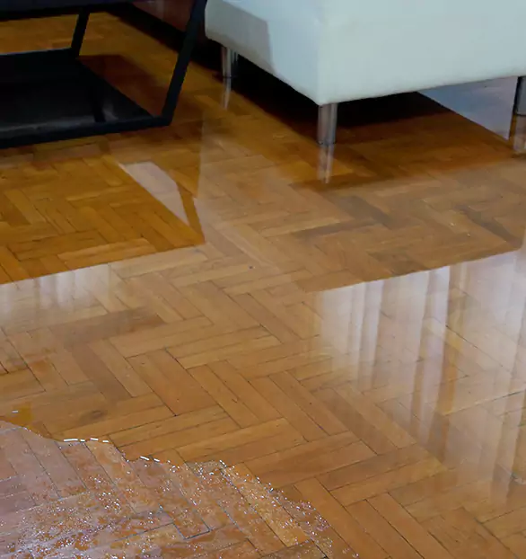 Trusted Emergency Water Restoration Company in Pamelia, NY