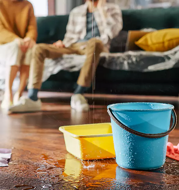 Reliable Water Mitigation Company in Pamelia, NY