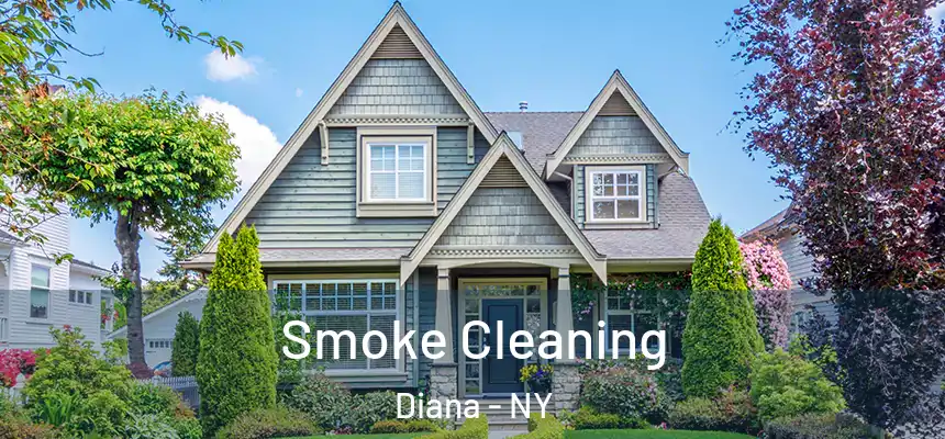  Smoke Cleaning Diana - NY