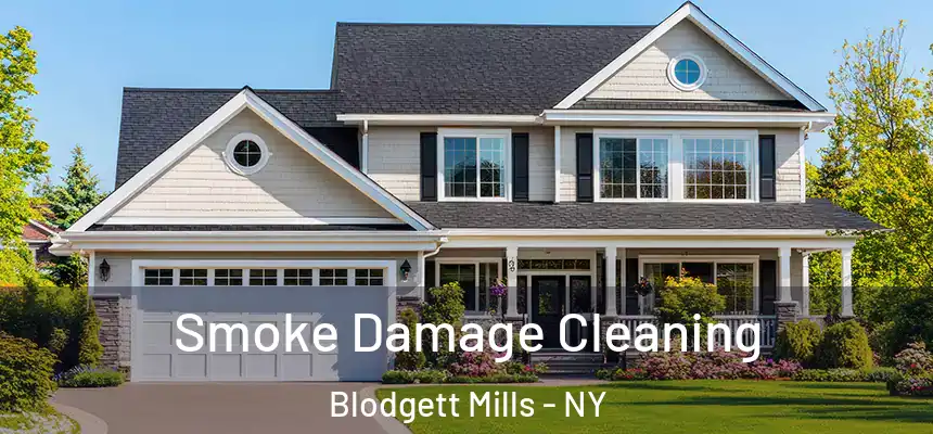  Smoke Damage Cleaning Blodgett Mills - NY