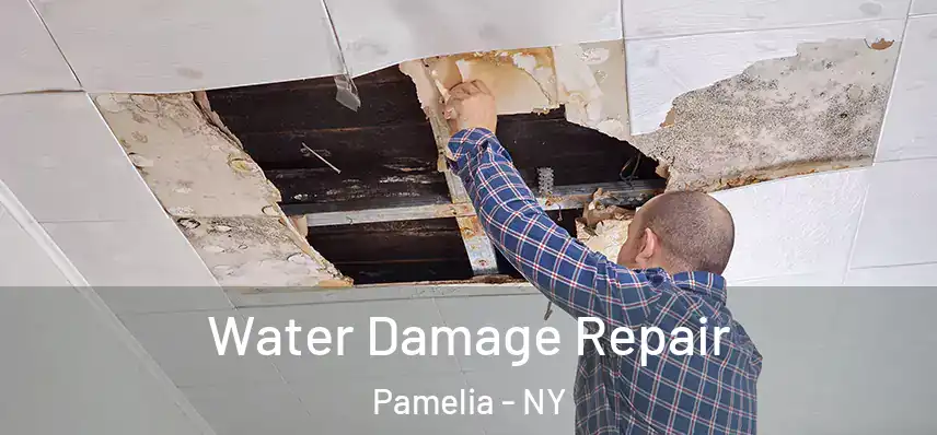 Water Damage Repair Pamelia - NY