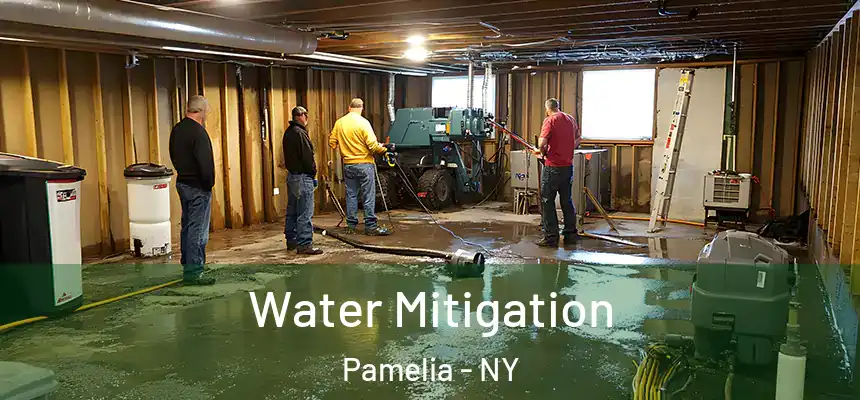 Water Mitigation Pamelia - NY