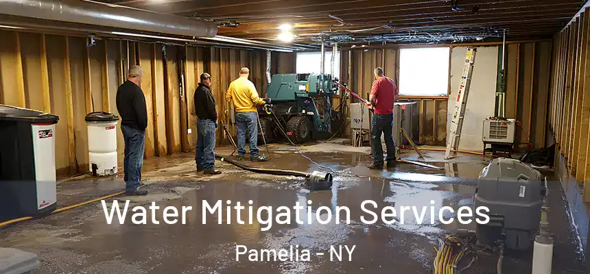 Water Mitigation Services Pamelia - NY
