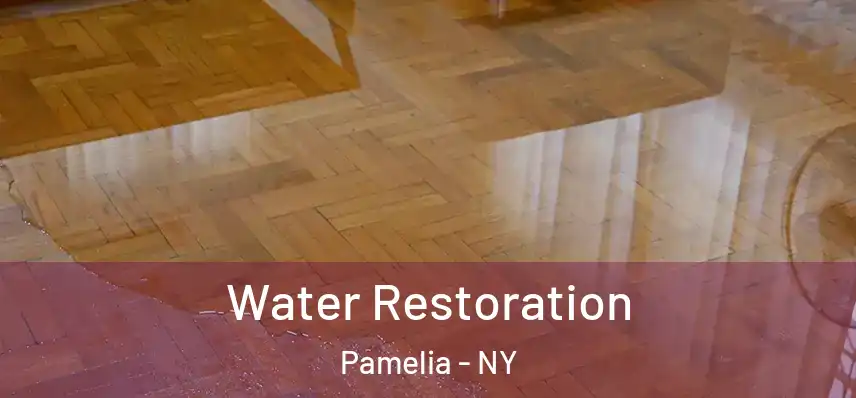  Water Restoration Pamelia - NY