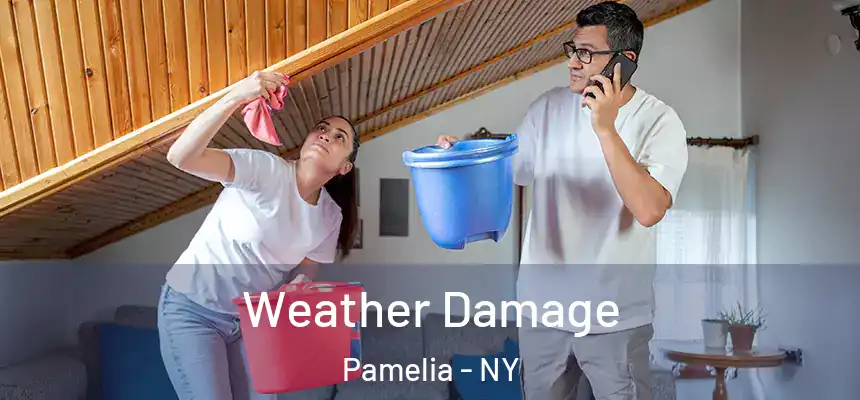 Weather Damage Pamelia - NY